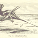 Illustration for article titled 15 of the Weirdest Images in the British Library’s New Digital Trove